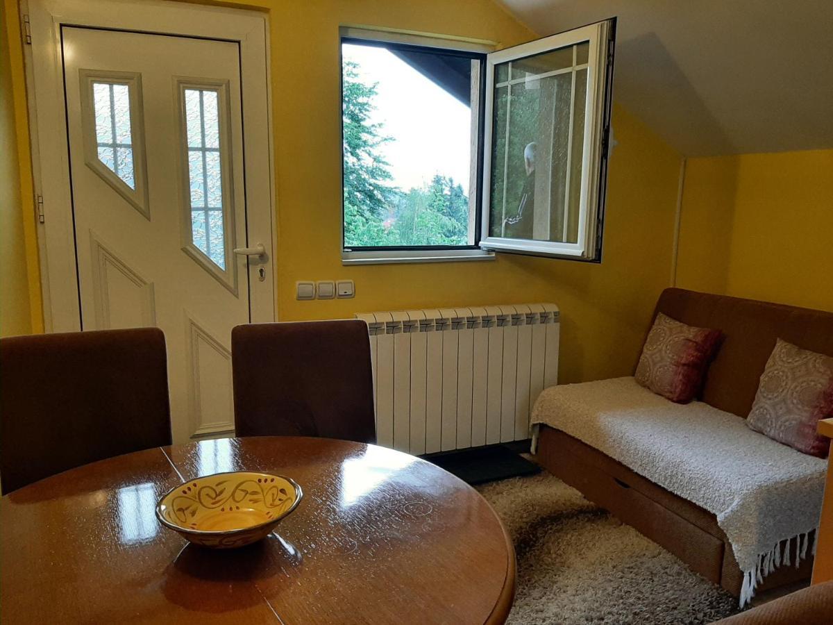 Apartments Junior Zlatibor Kültér fotó